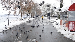 Nove snežne padavine